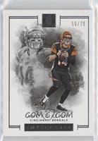 Andy Dalton #/75