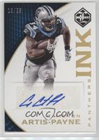 Cameron Artis-Payne #/25