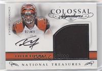 Tyler Eifert #/49