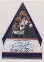 Panini's Choice - Jeremy Hill #/15