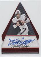 Panini's Choice - Steve Grogan #/49