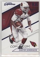 David Johnson #/49