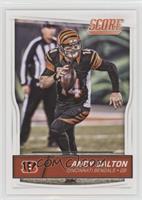 Andy Dalton