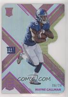 Rookies - Wayne Gallman #/24