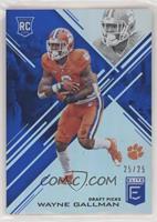 Draft Picks - Wayne Gallman #/25