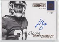 Wayne Gallman #/75