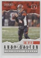 Andy Dalton