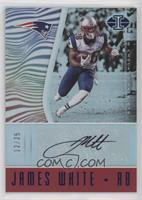 James White [Noted] #/25
