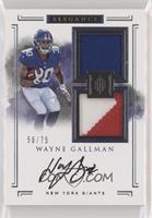 Elegance Rookie Helmet and Patch Autos - Wayne Gallman #/75