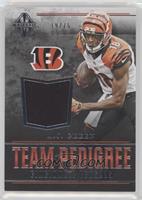 A.J. Green #/75