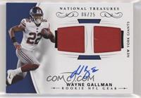 Wayne Gallman #/25