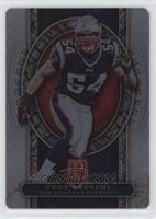 Tedy Bruschi #/50