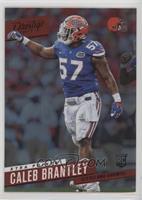 Rookie - Caleb Brantley