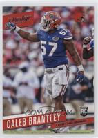 Rookie - Caleb Brantley