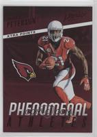 Patrick Peterson