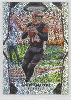 Andy Dalton #/20