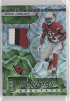 David Johnson #/25