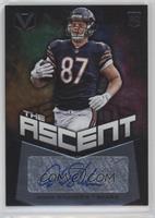 The Ascent - Adam Shaheen #/99