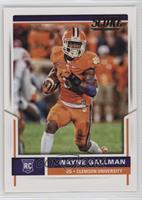 Rookies - Wayne Gallman