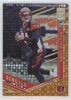 Andy Dalton #/49