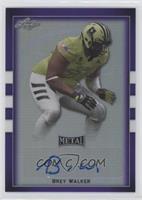 Brey Walker #/20