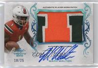 Mark Walton #/25