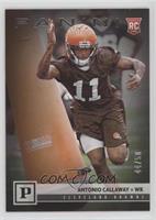 Rookies - Antonio Callaway #/50