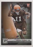 Rookies - Antonio Callaway