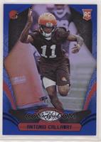 Rookies - Antonio Callaway #/50