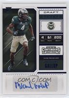 College Ticket - Michael Gallup