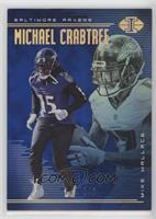 Michael Crabtree, Mike Wallace #/249