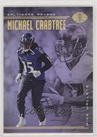 Michael Crabtree, Mike Wallace