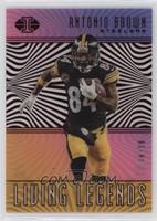 Antonio Brown #/99