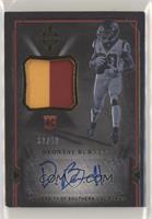 Rookie Scripted Swatches - Deontay Burnett [EX to NM] #/49