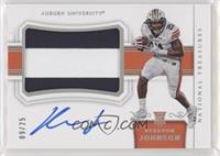 College Materials Signatures - Kerryon Johnson #/25