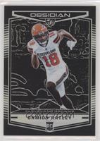 Damion Ratley #/100