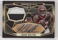 Mark Walton #/50