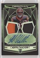 Mark Walton #/25