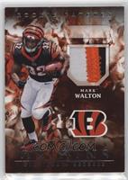 Mark Walton [EX to NM]