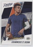 Rookie - Equanimeous St. Brown