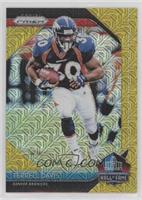 Terrell Davis #/10