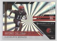 Rookie - Antonio Callaway