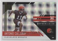 Rookie - Antonio Callaway #/150