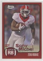 Sony Michel