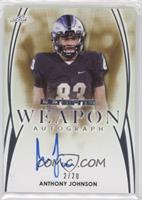 Anthony Johnson #/20