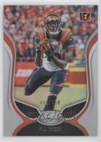 A.J. Green #/450