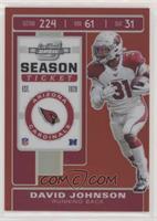 Season Ticket - David Johnson #/199