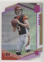 Rookies - Ryan Finley #/24