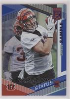 Rookies - Drew Sample #/89