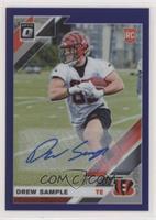 Rookies - Drew Sample #/35